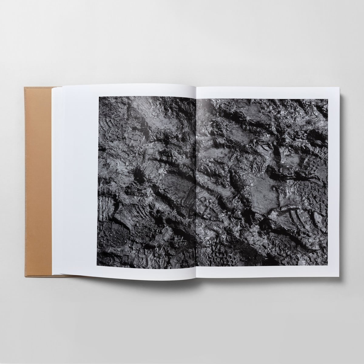 Privat Natur - Jens Assur - Image 4